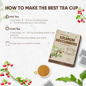 Healthy Beverage Ingredient Choice Premium Solanum Procumbens Herbal <b>Tea</b> From Vietnam 40 <b>Tea</b> Bags (2g Each)-2-Year Shelf Life - Product Image 3