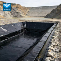 Géomembrane HDPE écologique non toxique et sûre pour réservoirs d'eau potable, lacs artificiels, bassins à poissons, revêtement de barrage - 1 mm, extérieur