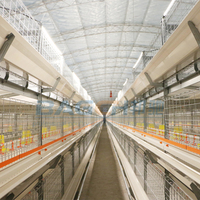 Cages d'élevage automatiques pour élever des poules