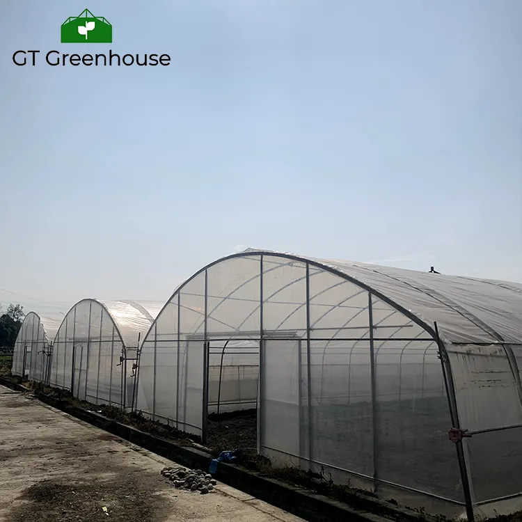 GT การเกษตรกลางแจ้งอุโมงค์ฟิล์มพลาสติกเชิงพาณิชย์กรอบโลหะบ้านสีเขียว
