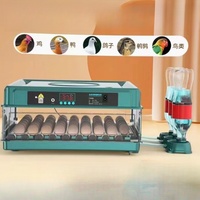 Bon équipement électrique multifonction automatique capacité des œufs incubateur facile à utiliser couveuse en plastique pour éclosoir de poulet