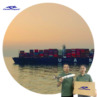 Agente de Transporte Marítimo Servicio de Logística de Alibaba Costo de Envío de China a Reino Unido/Francia/Alemania/Polonia/Europa Servicio DDP
