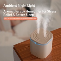 Humidificateur d'ambiance transfrontalier à grande capacité, volume de brume élevé 2L, en plastique, alimenté par USB, faible bruit, avec lumière d'ambiance, pour la maison, la chambre et le bureau
