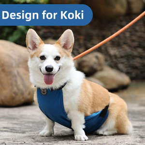 卸売犬服 高級プリントPUペット服 コーギー用 新しい可愛い大型犬用よだれかけ 防水腹巻き 夏春向けスタイリッシュで機能的 - Product Image 3