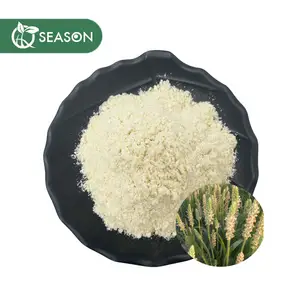 Natural Psyllium Husk Extract Favorable Psyllium Husk Powder Price