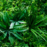 Panneau mural vert pour décoration intérieure et extérieure, herbe artificielle, jardin vertical, imperméable, résistant aux UV, 100% matériau PE