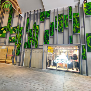 Panel de Musgo Preservado Ecológico Evergreen para Decoración, Hecho a Mano, Tamaño Personalizado, Pared Verde, Musgo Real de Aspecto Natural y Artístico - Product Image 5