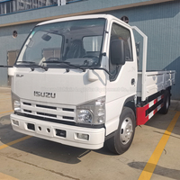 Camion léger diesel japonais 4x2 de 3 tonnes, 6 roues, simple cabine, 2 passagers, Euro 3, neuf, en promotion