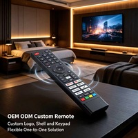 Télécommande vocale sans fil 45 touches pour Smart TV LCD, Android TV Box, OEM ODM, coque personnalisée, fourniture d'usine