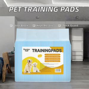 Tapis absorbants pour l'entraînement des chiens et des chats, en charbon de bambou, désodorisants et nettoyants, en papier épais - Product Image 2