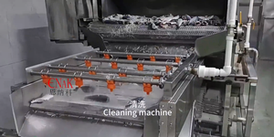 Linea di Produzione Completa per Lattine di Aringhe, Tonno e Sardine per Macchinari di Lavorazione del Pesce - Product Image 4