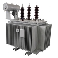 Transformateur de mise à la terre en zigzag immergé dans l'huile 33 kV 500 kVA avec dispositif de mise à la terre neutre pour la protection des postes de transformation électriques minières