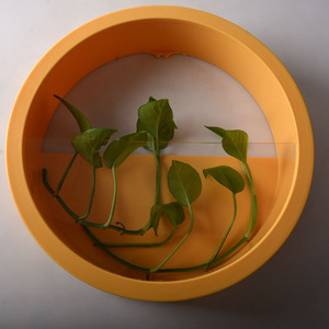 Decorazione da Parete Rotonda Moderna per Interni o Esterni in Resina Colorata Stile Nord Europa per Casa, <span class=keywords><strong>Balcone</strong></span> o Patio - Product Image 3