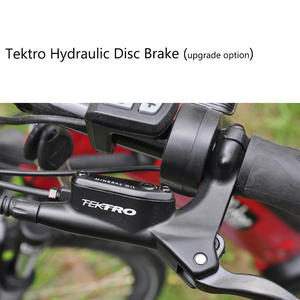 Vélo électrique Super e-bike 500/750w, bicyclette intelligente pour femmes, chine - Product Image 4