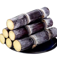 Suikerrietpoeder, voedingskwaliteit, Saccharum Officinarum poeder, suikerrietpoeder met groothandelsprijs, verpakking in vaten/zakken