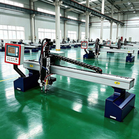 Machine de découpe plasma CNC économique de haute technologie pour une découpe facile de l'acier au carbone, de l'acier inoxydable et du métal