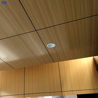 Murs rideaux en aluminium de luxe légers, perforés, isolants thermiquement, découpés au laser 3D, pour la vente en gros