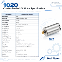 Moteur micro DC sans noyau Tenli 1020 10x20mm CW CCW réversible 40000RPM 3-12V pour pompe, vanne, automatisation, robotique
