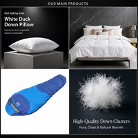 Couette d'hiver épaisse 50% duvet de canard blanc, taille Queen, avec compartiments, en coton anti-duvet, extra chaude, vente en gros