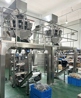 Machines d'emballage de sachets de pop-corn et d'arachides WPV250, machines d'emballage de chips de pommes de terre, machines d'emballage de nourriture pour animaux, de noix et de collations