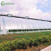 Serre Agricole Intelligente 30x96m Tunnel Culture Système Hydroponique Structure de Serre