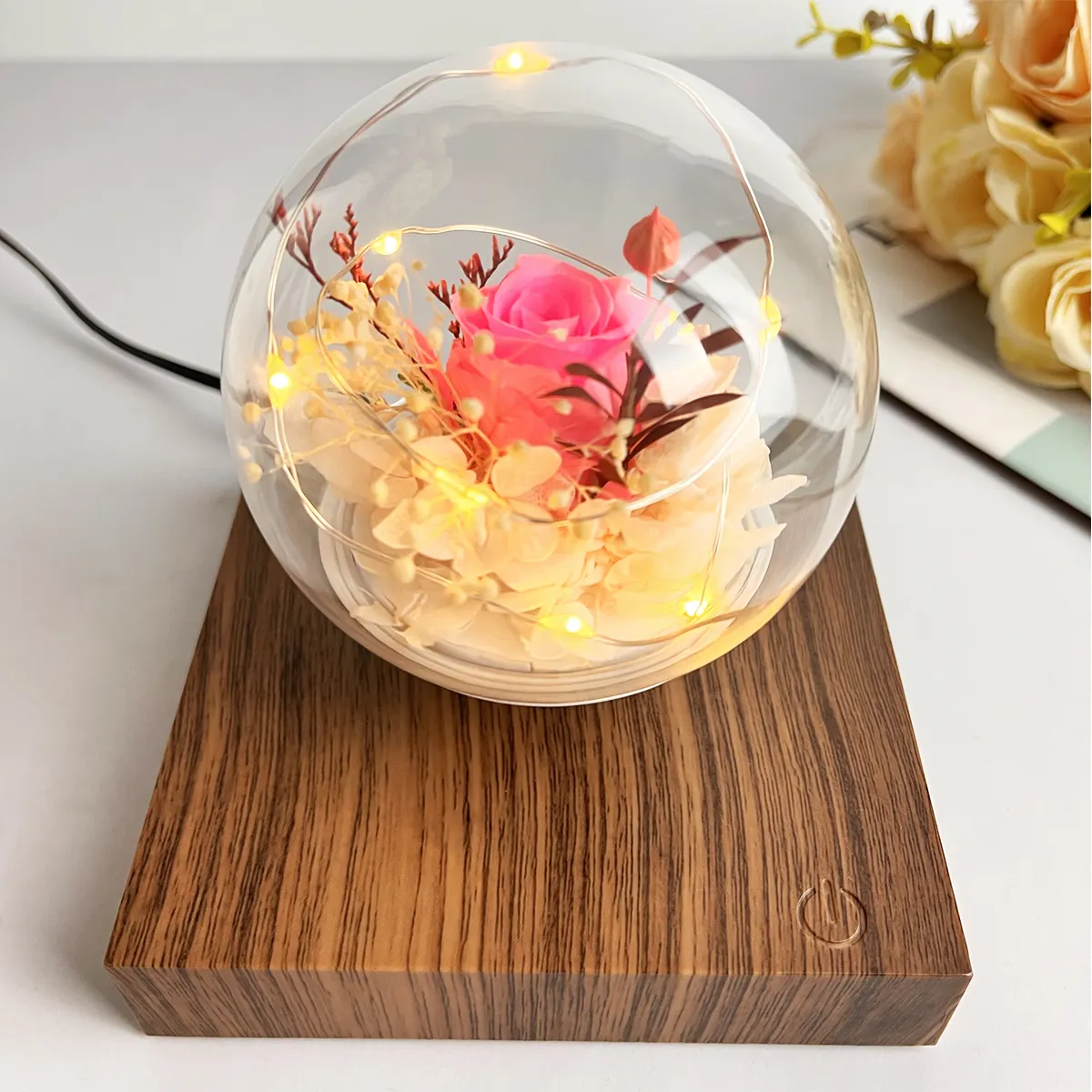 Mother Day Gifts Natural Infinity Preserved Roses Flowers Magnetic Levitating Custom Unique New Style Preserved Flowers Plant