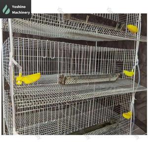 Gabbie automatiche di tipo H a 5 livelli <span class=keywords><strong>per</strong></span> galline ovaiole in allevamento di pollame. - Product Image 2