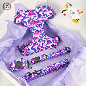 OKKPETS özel köpek koşum seti hediye kutu seti koşum tasma yaka içerir teşekkür ederim kart ve kağıt mendil - Product Image 1