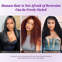 Lots de Cheveux Humains Vierges Naturels : Cheveux Cambodgiens, Bouclés Birmans, Extensions de Cheveux Humains Vietnamiens, Ondulés (Body Wave), Double Drawn - Fournisseur