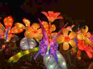 Lanternes de fleurs décoratives de spectacle de lumière chinoise Lanterne de champignon extérieure - Product Image 4