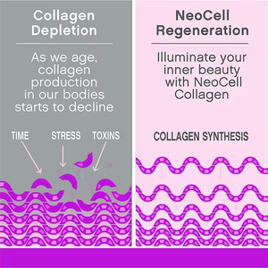 2025 Hot Selling Healthcare Hochwertige Low Moq Kräuter ergänzungen White ning Capsules Skin White ning Pills - Product Image 4