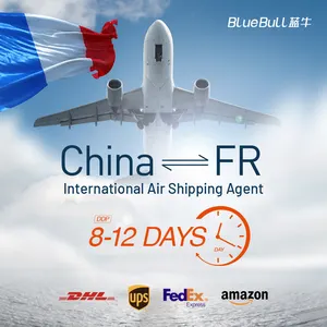 Freight Forwarder To USA/UK/Italy/France/Netherlands /Germany FBA Amazon By Air Shipping From China DDP Door To Door Service