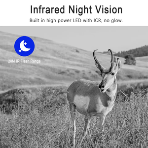 Săn bắn ngoài trời phát hiện chuyển động 4MP không thấm nước động vật hoang dã giám sát năng lượng mặt trời 4G Sim Thẻ Trail máy ảnh - Product Image 5