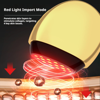 Appareil de raffermissement de la peau Yanxer pour le visage, microcourant anti-âge, lifting, raffermissement, réduction des rides et des poches