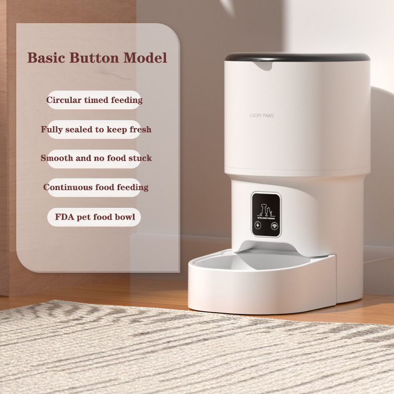 Modèle de bouton de base