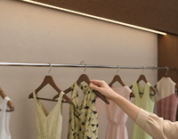 Système de présentoir Honya, support mural pour vêtements, cadre en bois, éclairage LED, rail de suspension pour vêtements, magasin de détail
