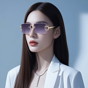 Lunettes de soleil Dlisha pour femmes, monture métallique sans cadre, verres PC UV400, légères, design carré, type 3, pare-soleil - Product Image 4