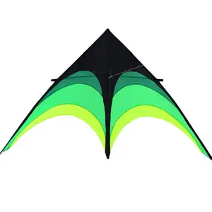 Classic Green Delta Kite and Best Kite flying to beginner