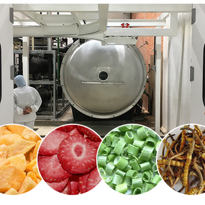 Tropikal meyveler vakumlu dondurucu kurutucu Mangosteen ve sebze işleme için verimli tarla makinesi - Product Image 5