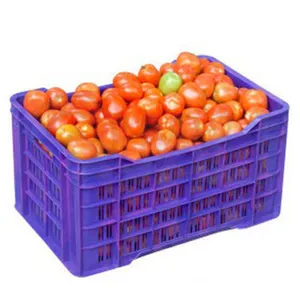 Quali Factory Directly Plastic Tomato Crate Rectangle Plastic Flat Bottom Crate