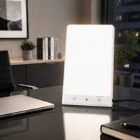 Lampu Terapi Cahaya SAD Pribadi Bebas UV, Lampu LED Siang Hari dengan Timer dan Memori, Suhu Warna yang Dapat Disesuaikan untuk Penggunaan di Rumah