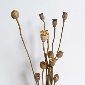 Ogni amore ha asciugato i rami di frutta il Bouquet di fiori naturali la disposizione dei fiori di nozze la casa la decorazione dei fiori - Product Image 5
