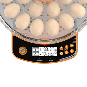 Incubadora automática inteligente de 24 huevos con volteador automático y control de humedad | Alta tasa de eclosión para varios huevos de aves de corral - Product Image 4