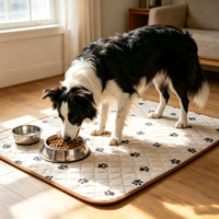 Tapis d'alimentation pour animaux de compagnie AOSEN, imperméable, pour nourriture et eau, facile à nettoyer, lavable en machine, pour usage quotidien à la maison, fabricant OEM