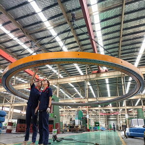 Rodamientos de Rodillos de Tres Hileras para Maquinaria de Construcción <span class=keywords><strong>RKS</strong></span>.062.30.1754 Grúa Marina - Product Image 5