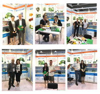 Fabricant OEM de circuits imprimés (PCBA), fournissant des services de conception de circuits imprimés et d'assemblage de cartes électroniques PCBA PCB