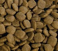 Aliments secs pour chats OEM ODM, riches en protéines, saveur poulet, pour la santé de la peau et du pelage, marque Aroma, prix bas, étiquette d'usine personnalisée, vente en gros