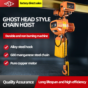 Palans électriques à chaîne en acier inoxydable neufs, chaîne simple/double, 500 kg, 1000 kg, prix du palan - Product Image 5