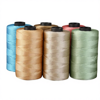 Flat Ribbon Yarn 250g 2mm Polyester Anti-Pilling Crochet Yarn Suitable for Bags, Sweaters, Hats, Scarves Ready to Ship