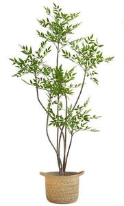 Cây bách xù phía Nam nhân tạo quy mô lớn trang trí sàn phòng khách trong nhà cao cấp sinh học cao cấp trang trí chậu - Product Image 5